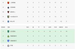 开云体育官方网站-包含积分榜前列球队实力明显突出，领先优势明显的词条
